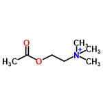 InChI=1/C7H16NO2/c1-7(9)10-6-5-8(2,3)4/h5-6H2,1-4H3/q+1