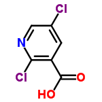 InChI=1/C6H3Cl2NO2/c7-3-1-4(6(10)11)5(8)9-2-3/h1-2H,(H,10,11)