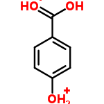 InChI=1/C7H6O3/c8-6-3-1-5(2-4-6)7(9)10/h1-4,8H,(H,9,10)/p+2