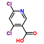 InChI=1/C6H3Cl2NO2/c7-4-1-5(8)9-2-3(4)6(10)11/h1-2H,(H,10,11)